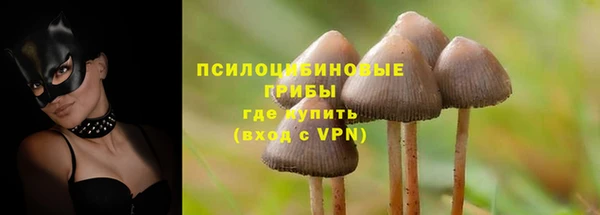 мдпв Переславль-Залесский