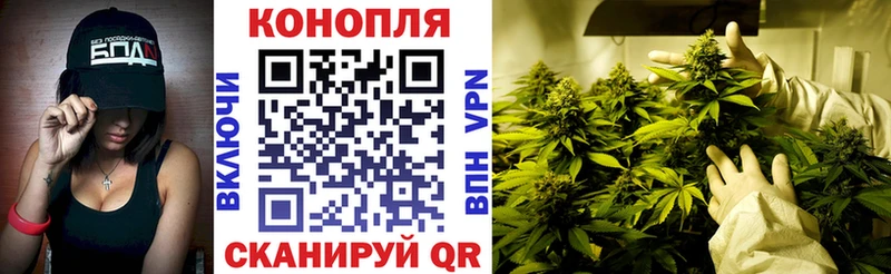 МАРИХУАНА VHQ omg онион Бологое
